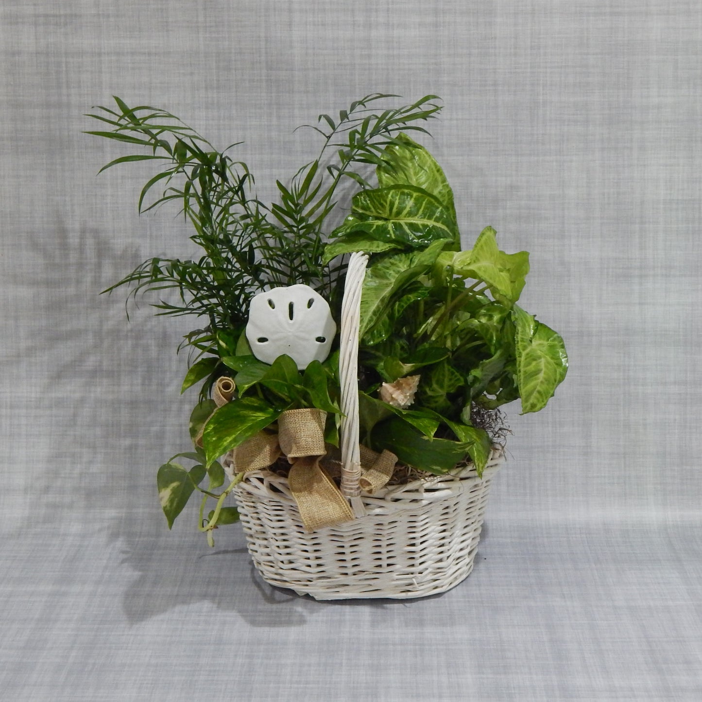 English Garden Plant Basket